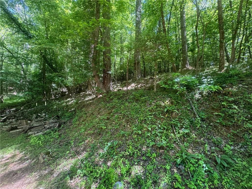 unimproved land for sale at 0 Bible Baptist Road, Ellijay, GA 30536 — photo 3