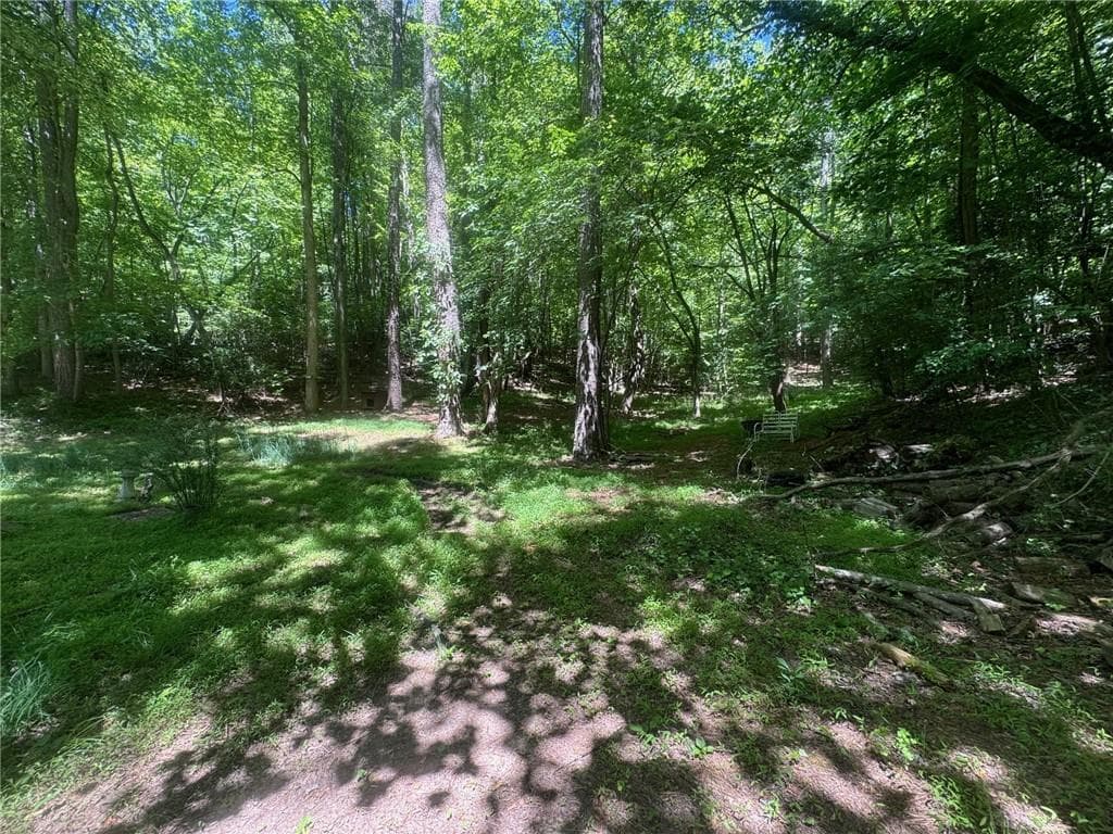unimproved land for sale at 0 Bible Baptist Road, Ellijay, GA 30536 — photo 4