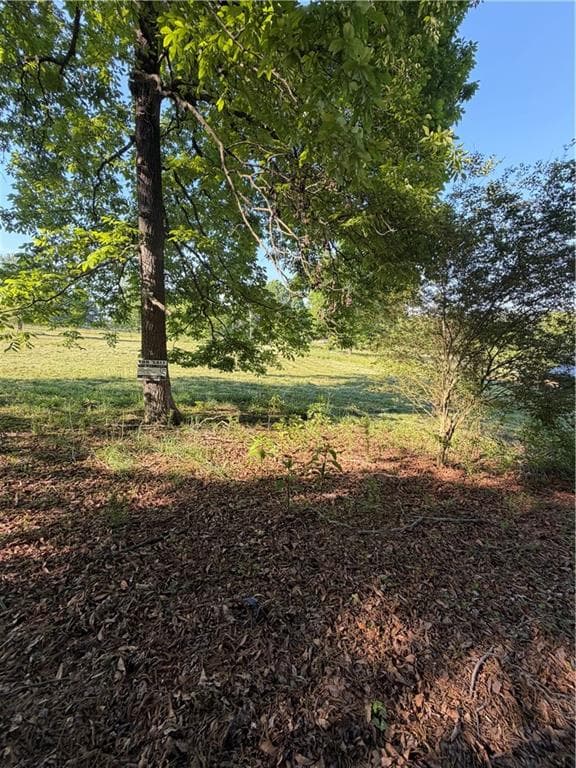 single family residence for sale at 0 Mountain Road, Morganton, GA 30560 — photo 5