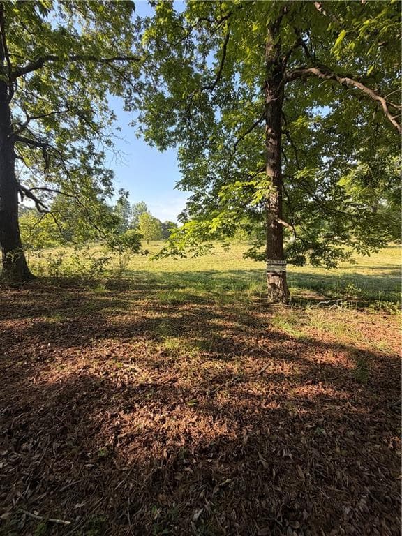 single family residence for sale at 0 Mountain Road, Morganton, GA 30560 — photo 6