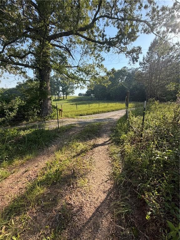 single family residence for sale at 0 Mountain Road, Morganton, GA 30560 — photo 8