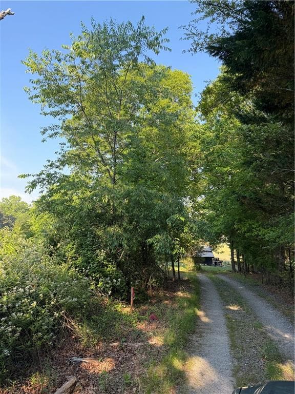single family residence for sale at 0 Mountain Road, Morganton, GA 30560 — photo 10