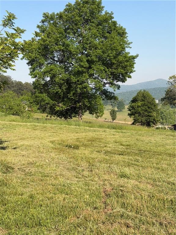 single family residence for sale at 0 Mountain Road, Morganton, GA 30560 — photo 2