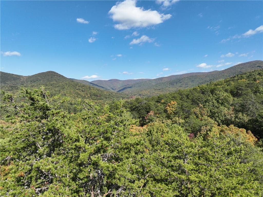 unimproved land for sale at 3A Turniptown Road, Ellijay, GA 30536 — photo 1 of 52