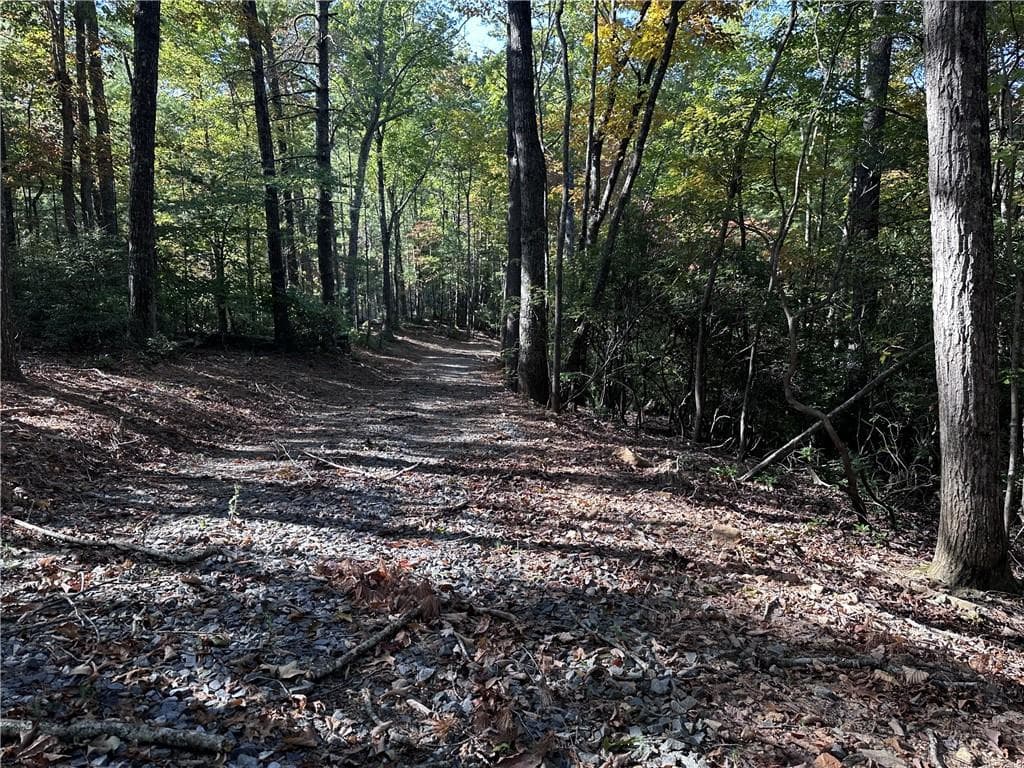 unimproved land for sale at 3A Turniptown Road, Ellijay, GA 30536 — photo 2