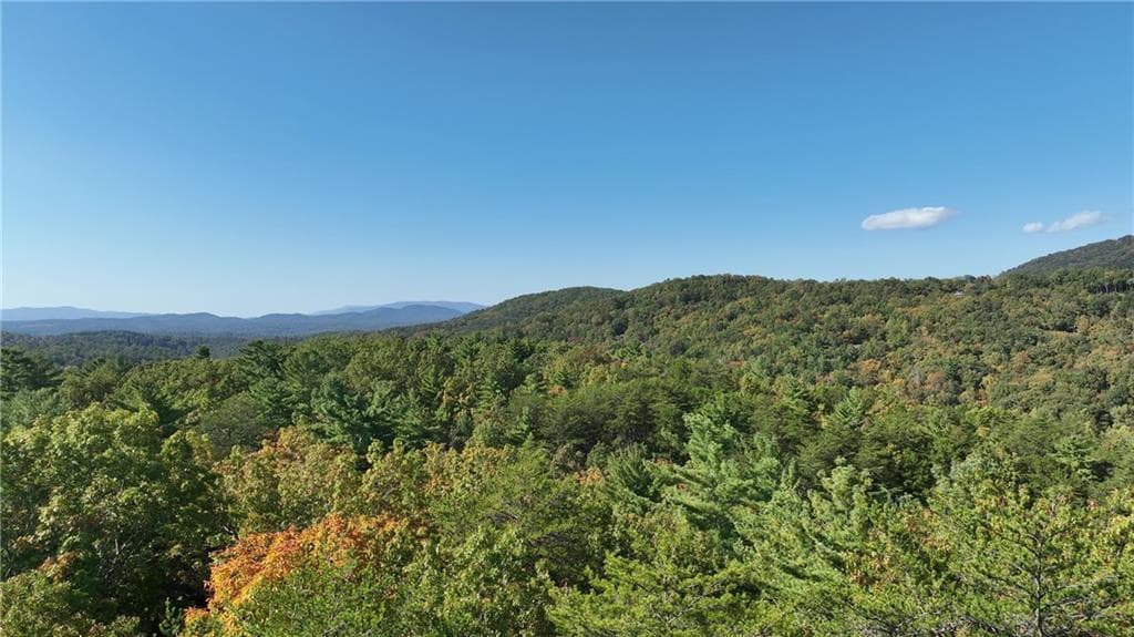 unimproved land for sale at 3A Turniptown Road, Ellijay, GA 30536 — photo 6