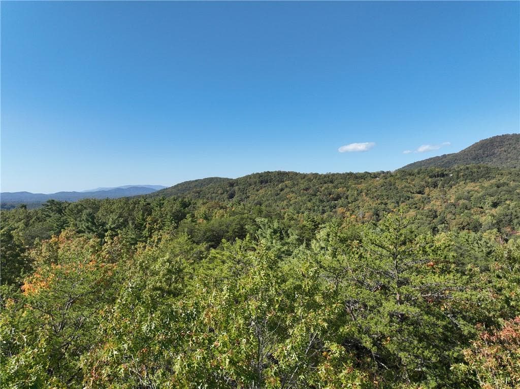 unimproved land for sale at 3A Turniptown Road, Ellijay, GA 30536 — photo 7