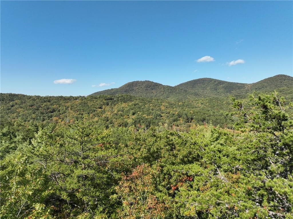 unimproved land for sale at 3A Turniptown Road, Ellijay, GA 30536 — photo 8