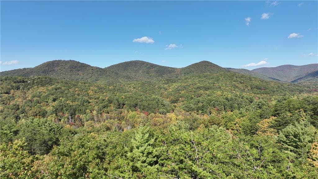 unimproved land for sale at 3A Turniptown Road, Ellijay, GA 30536 — photo 9