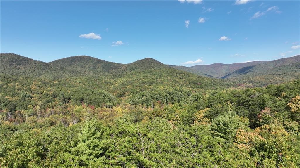 unimproved land for sale at 3A Turniptown Road, Ellijay, GA 30536 — photo 10