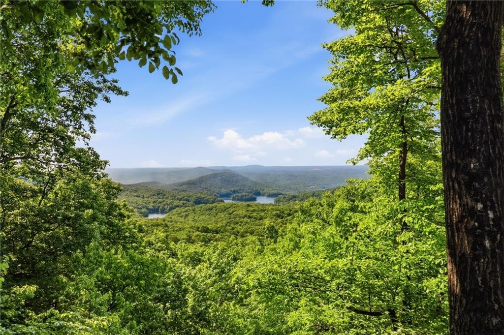 3 bedroom, 4 bathroom, 3,720 sq ft single family residence for sale at 1115 Wild Turkey Bluff, Big Canoe, GA 30143 — photo 2