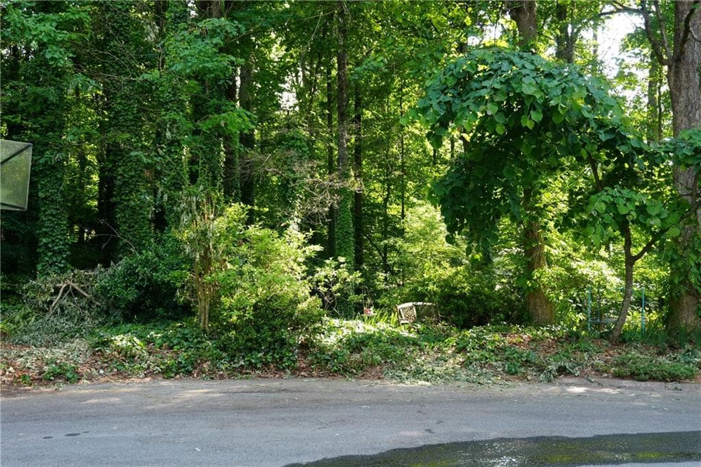 unimproved land for sale at 739 Slew Avenue, Lawrenceville, GA 30043 — photo 7