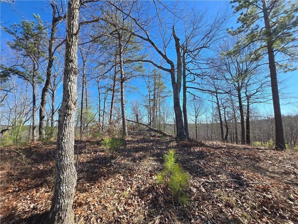 single family residence for sale at 0 Brushy Mountain Road, Rockmart, GA 30153