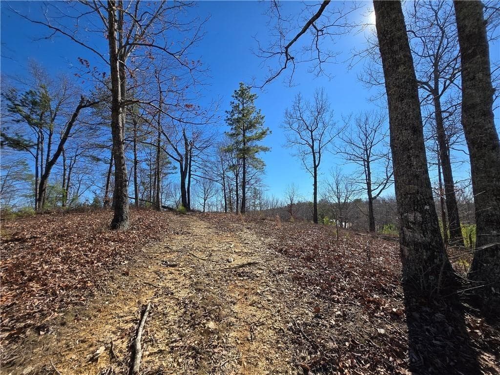 single family residence for sale at 0 Brushy Mountain Road, Rockmart, GA 30153 — photo 7