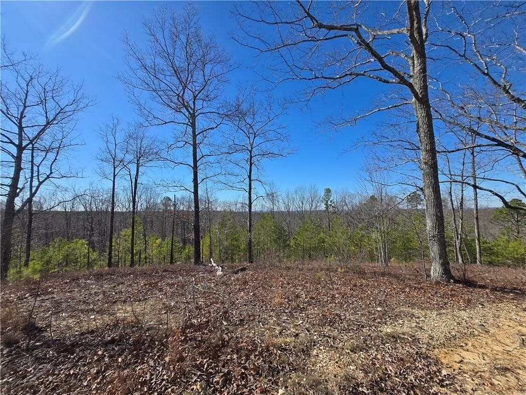 single family residence for sale at 0 Brushy Mountain Road, Rockmart, GA 30153 — photo 9