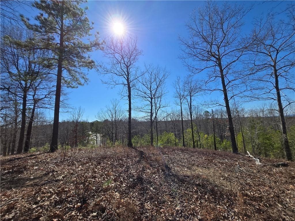 single family residence for sale at 0 Brushy Mountain Road, Rockmart, GA 30153 — photo 10