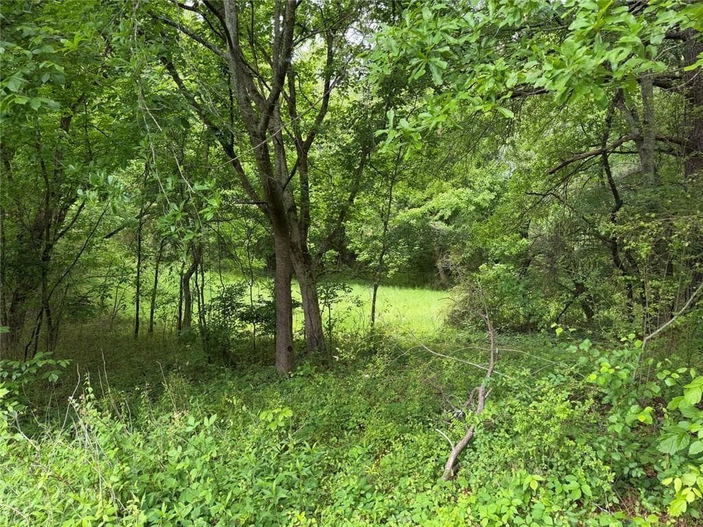 unimproved land for sale at 565B Avery Road, Canton, GA 30115 — photo 5