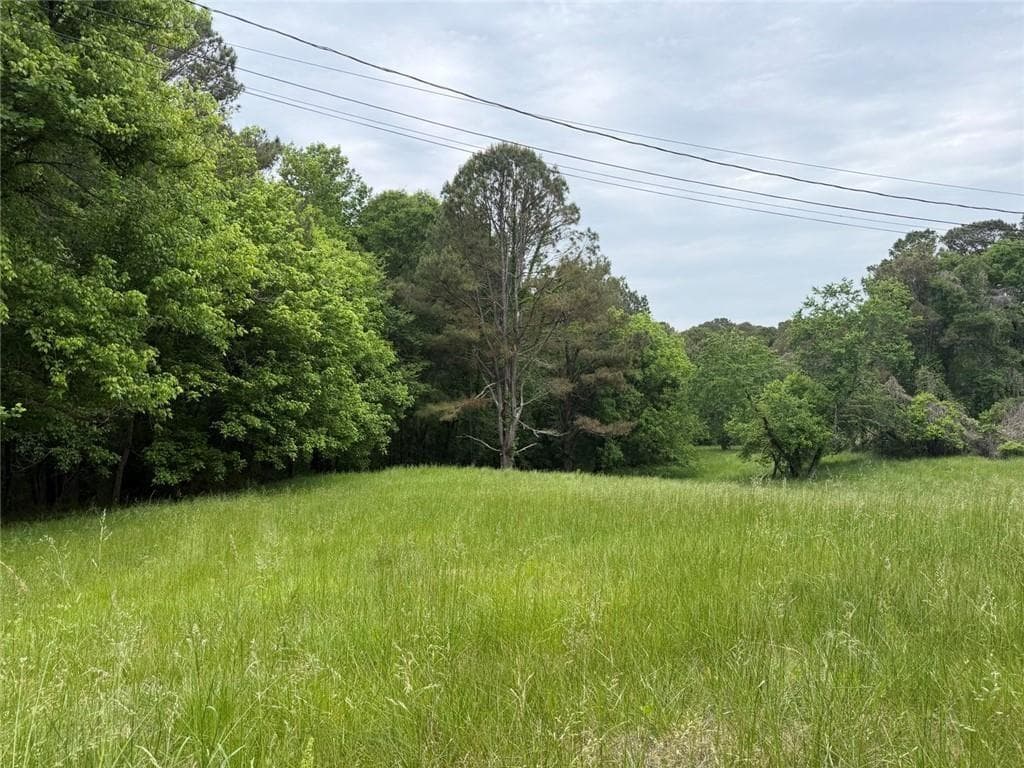 unimproved land for sale at 565B Avery Road, Canton, GA 30115 — photo 6