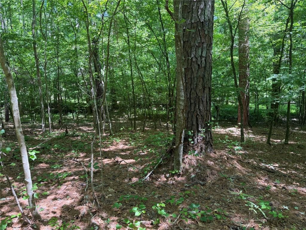 unimproved land for sale at 565B Avery Road, Canton, GA 30115 — photo 8