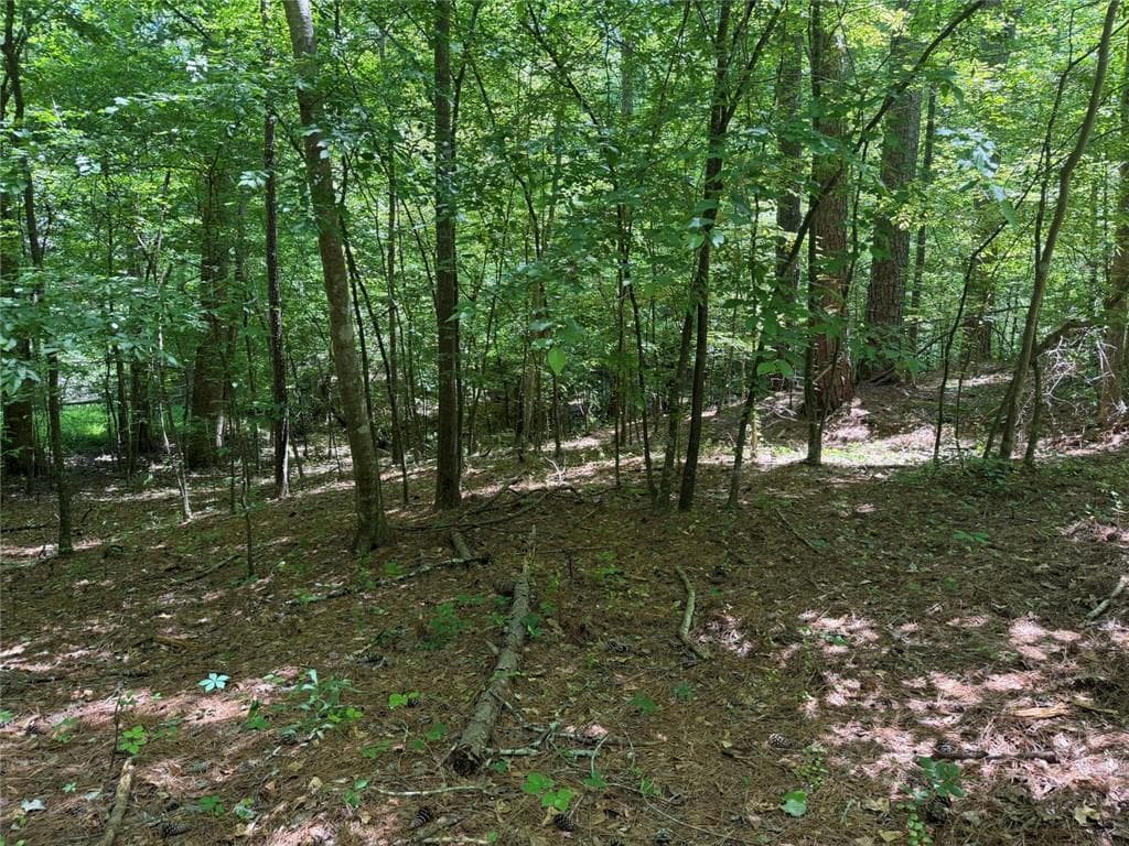 unimproved land for sale at 565B Avery Road, Canton, GA 30115 — photo 9