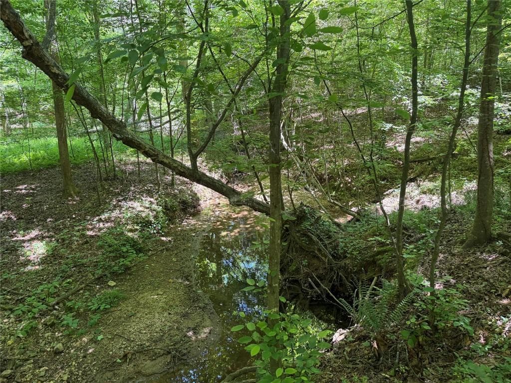 unimproved land for sale at 565B Avery Road, Canton, GA 30115 — photo 10