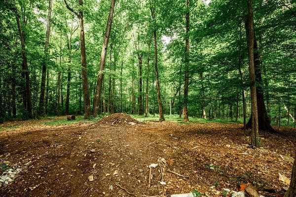 unimproved land for sale at 69 Schell Road, Atlanta, GA 30315 — photo 8