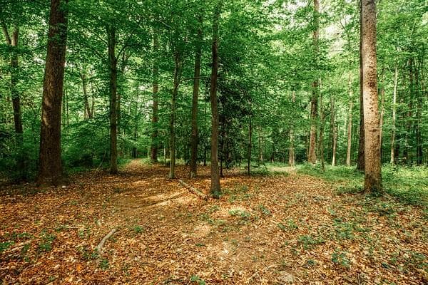 unimproved land for sale at 69 Schell Road, Atlanta, GA 30315 — photo 9
