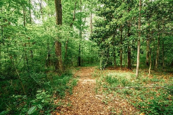unimproved land for sale at 69 Schell Road, Atlanta, GA 30315 — photo 10