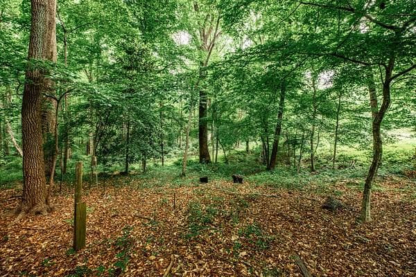 unimproved land for sale at 69 Schell Road, Atlanta, GA 30315 — photo 7