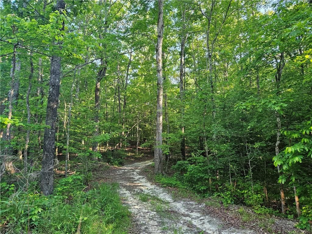 single family residence for sale at 0 Ponderosa Trail, Dallas, GA 30132 — photo 8