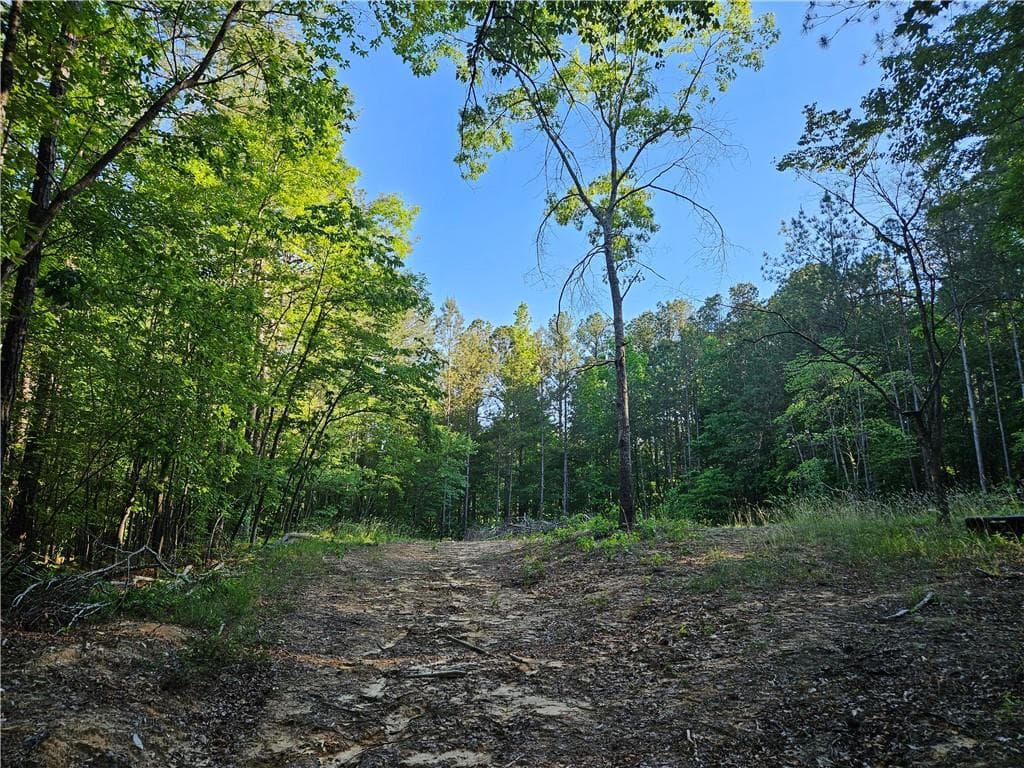 single family residence for sale at 0 Ponderosa Trail, Dallas, GA 30132 — photo 2