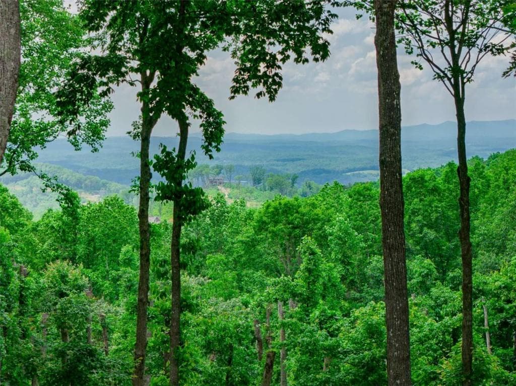 single family residence for sale at LT 411 Calloway Mountain Road, Talking Rock, GA 30175