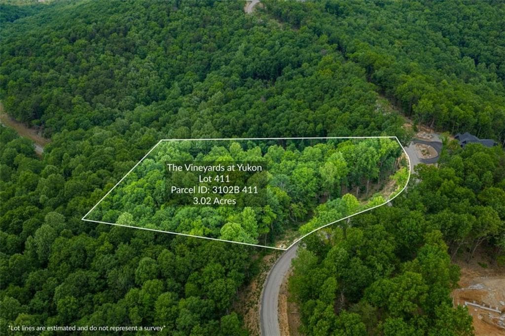 single family residence for sale at LT 411 Calloway Mountain Road, Talking Rock, GA 30175 — photo 2