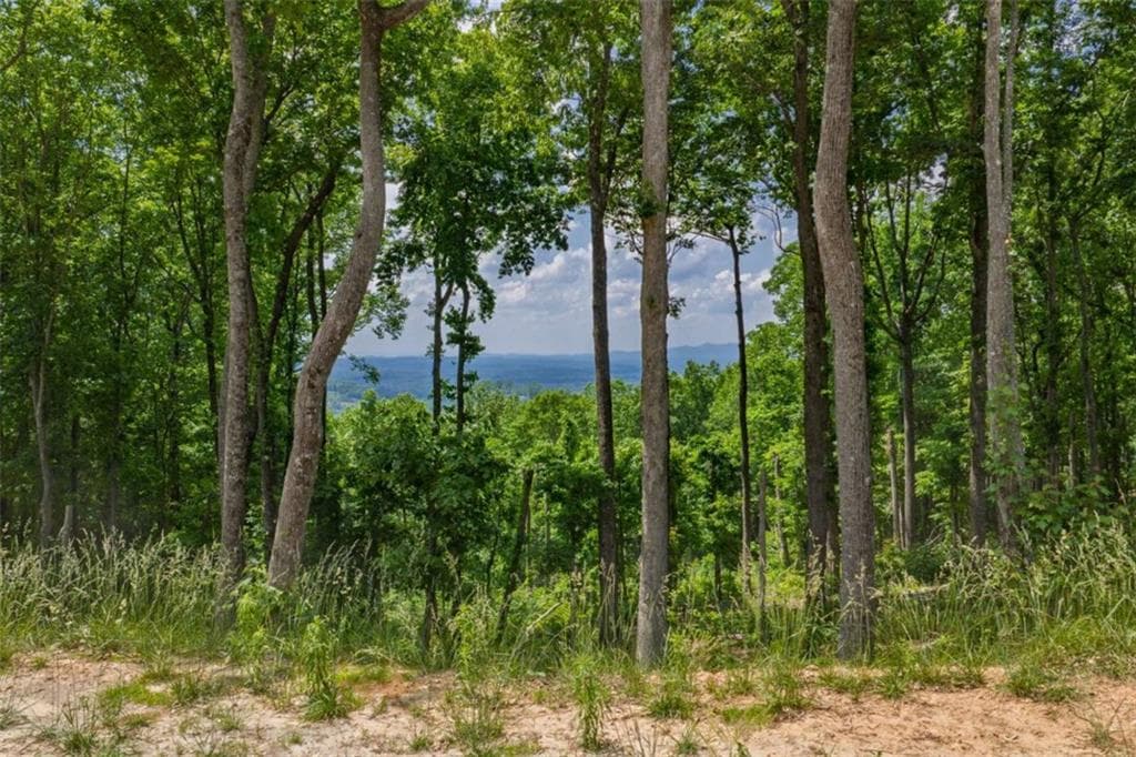 single family residence for sale at LT 411 Calloway Mountain Road, Talking Rock, GA 30175 — photo 4