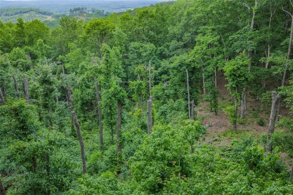 single family residence for sale at LT 411 Calloway Mountain Road, Talking Rock, GA 30175 — photo 6
