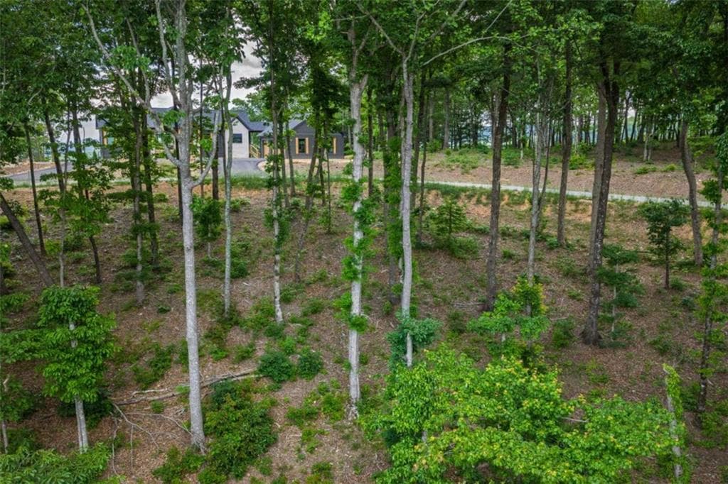 single family residence for sale at LT 411 Calloway Mountain Road, Talking Rock, GA 30175 — photo 7