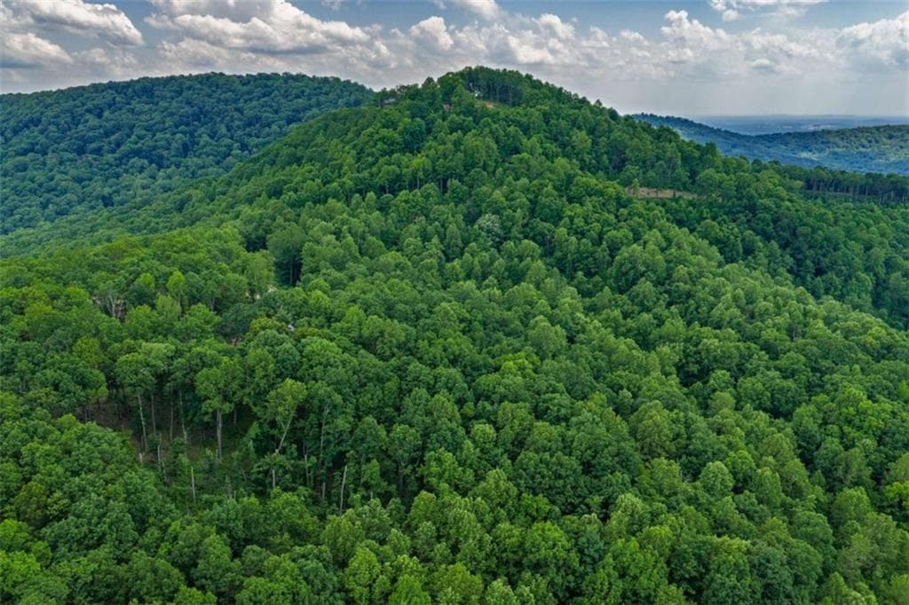 single family residence for sale at LT 411 Calloway Mountain Road, Talking Rock, GA 30175 — photo 8