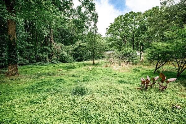 unimproved land for sale at 69 Schell Road, Atlanta, GA 30315 — photo 6