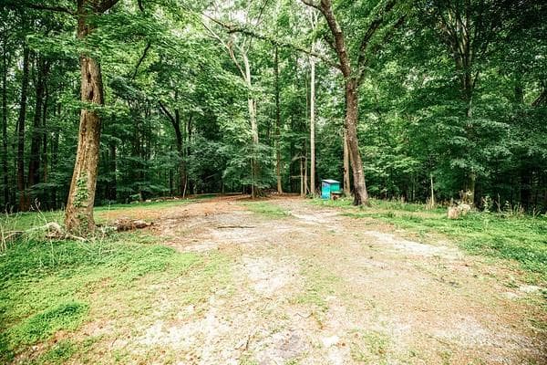 unimproved land for sale at 69 Schell Road, Atlanta, GA 30315 — photo 4