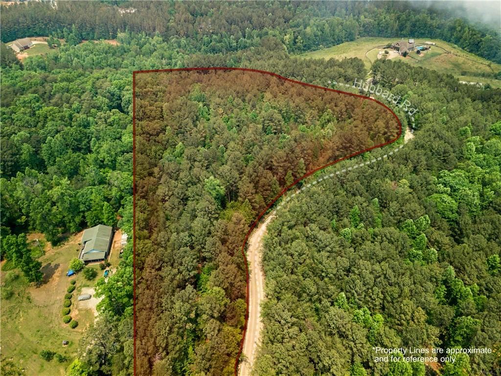 unimproved land for sale at 1315 Hubbard Road, Dawsonville, GA 30534 — photo 1 of 11