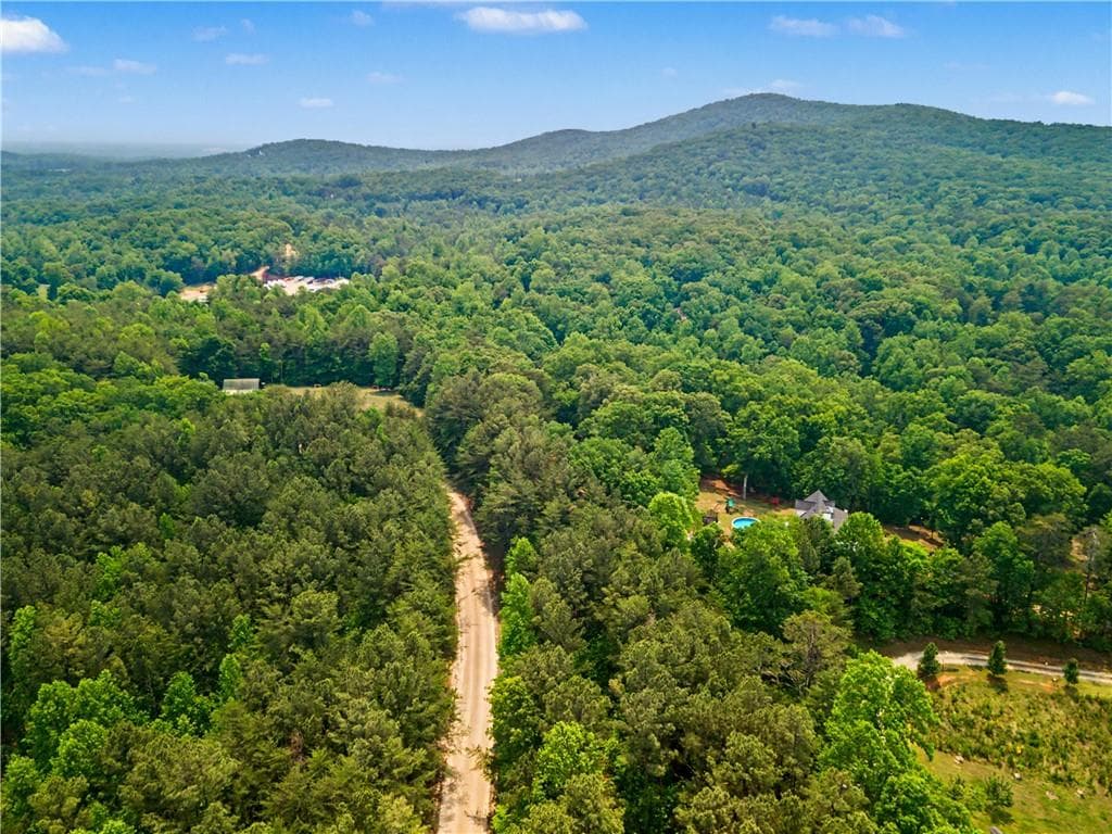 unimproved land for sale at 1315 Hubbard Road, Dawsonville, GA 30534 — photo 2
