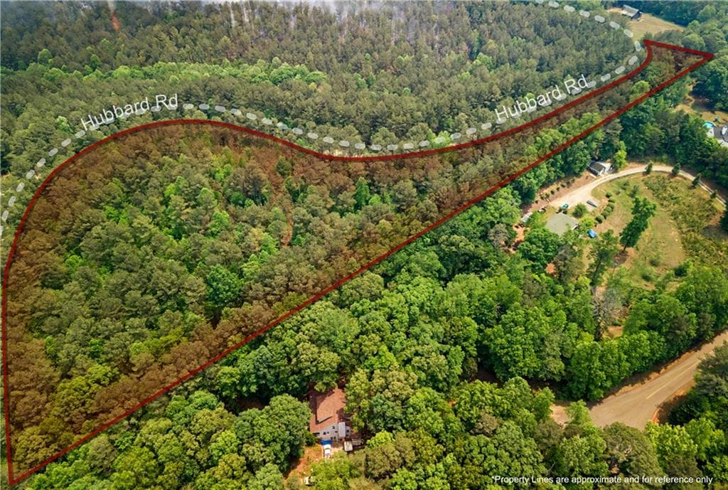 unimproved land for sale at 1315 Hubbard Road, Dawsonville, GA 30534 — photo 3