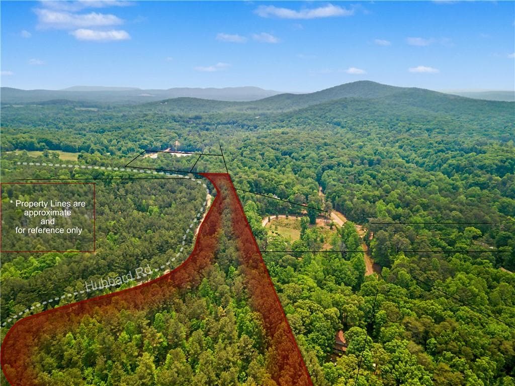 unimproved land for sale at 1315 Hubbard Road, Dawsonville, GA 30534 — photo 4