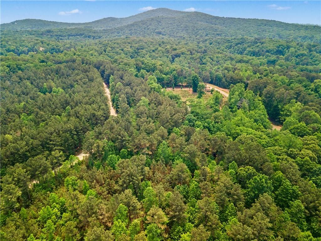 unimproved land for sale at 1315 Hubbard Road, Dawsonville, GA 30534 — photo 5