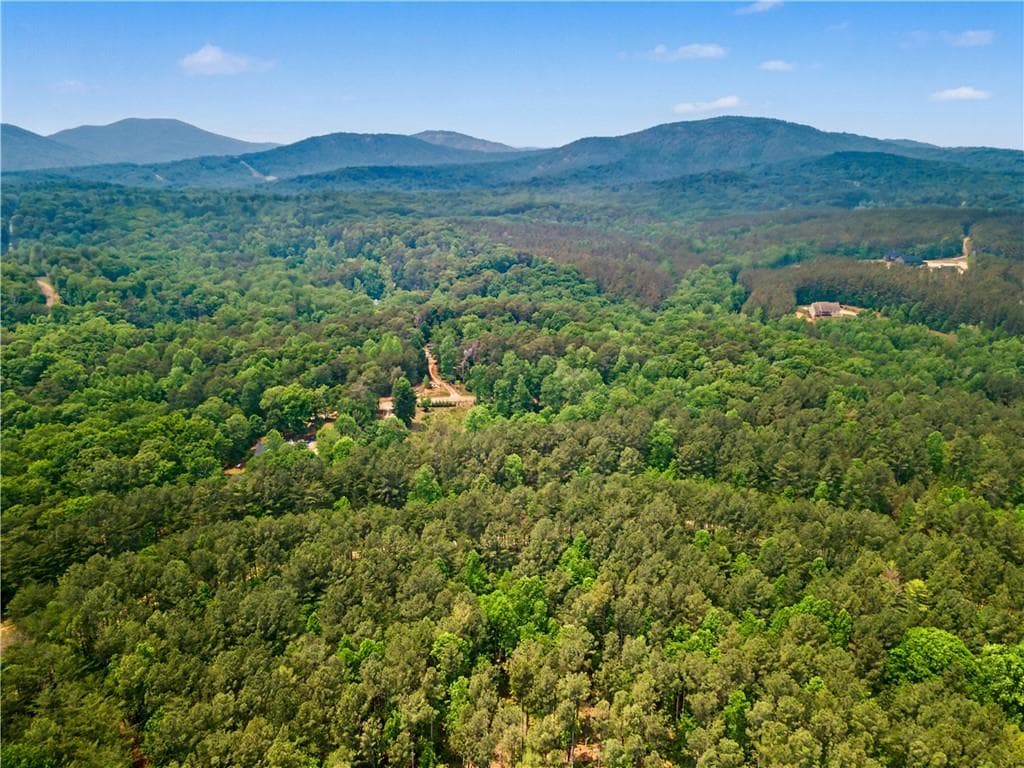 unimproved land for sale at 1315 Hubbard Road, Dawsonville, GA 30534 — photo 7