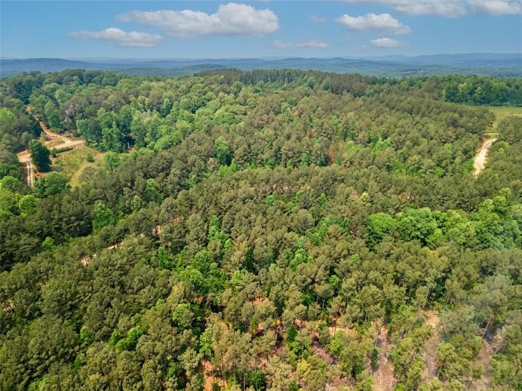 unimproved land for sale at 1315 Hubbard Road, Dawsonville, GA 30534 — photo 8