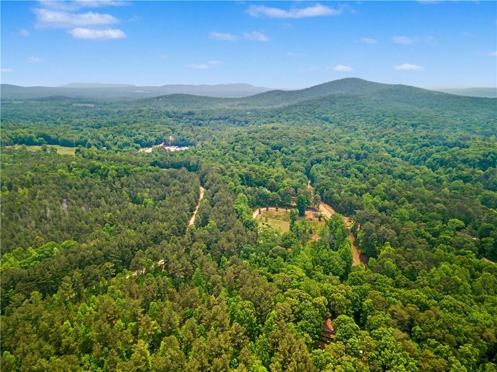 unimproved land for sale at 1315 Hubbard Road, Dawsonville, GA 30534 — photo 9