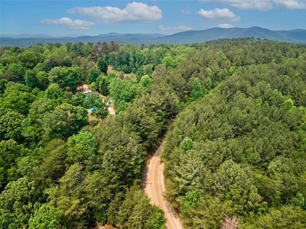 unimproved land for sale at 1315 Hubbard Road, Dawsonville, GA 30534 — photo 10