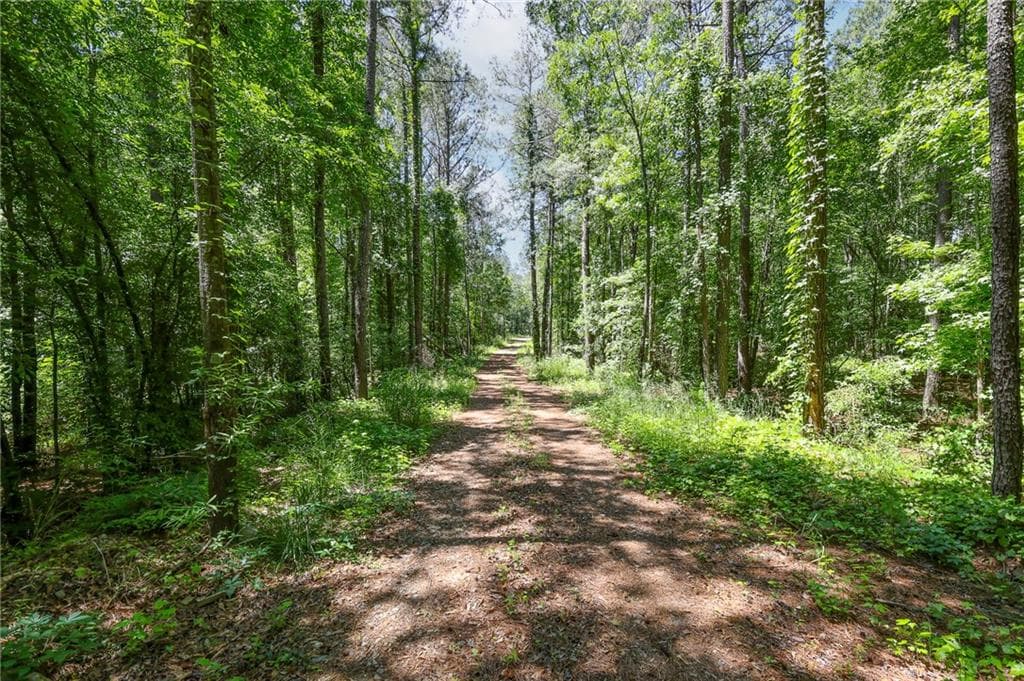 other under contract at 0 Manning Gin Road, Monroe, GA 30656 — photo 5