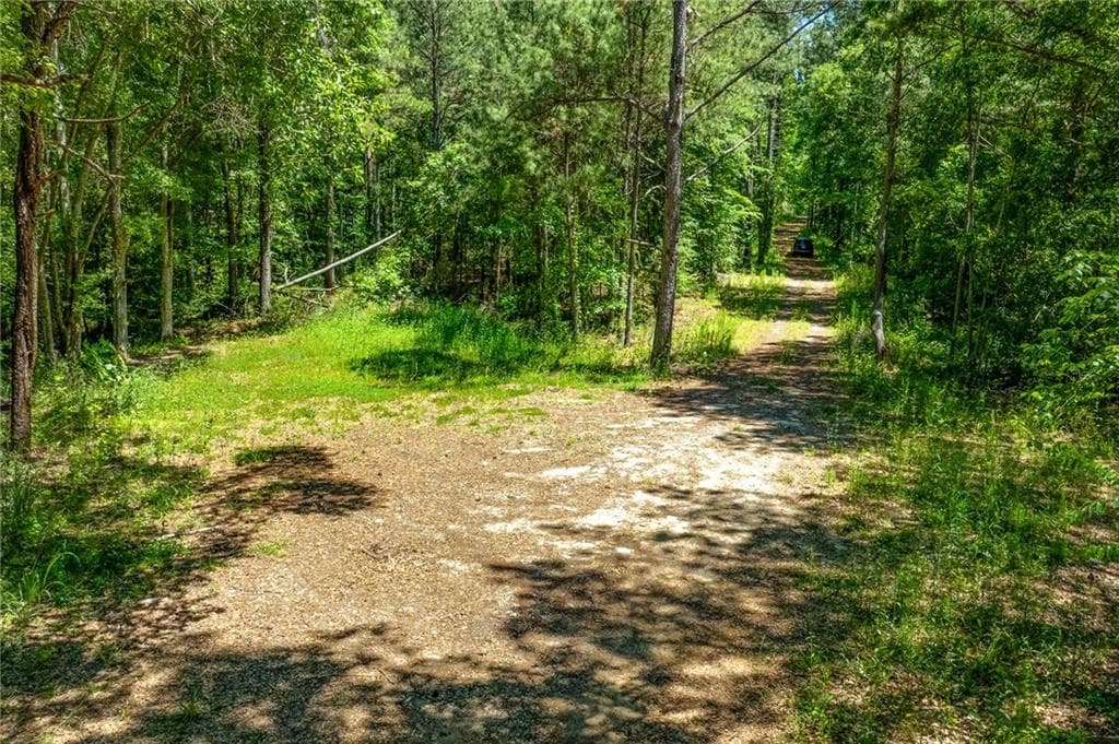 other under contract at 0 Manning Gin Road, Monroe, GA 30656 — photo 6